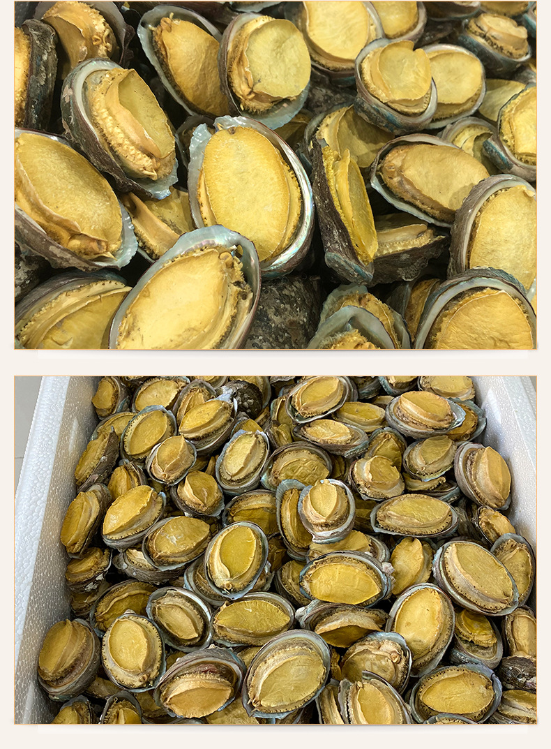 烟台特产大冻干鲍鱼 带壳鲍鱼干 水产干货海鲜佳品500g佛跳墙