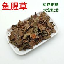 批发  鱼腥草  鱼腥草 无  臭草 鱼鳞草 量大从优干折耳根