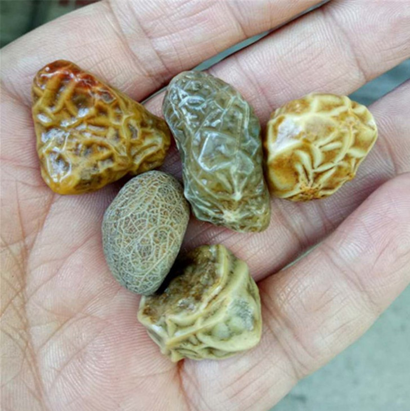 厂家供应珠宝a货玛瑙原石散籽阿拉善内蒙葡萄干玛瑙原石筋脉