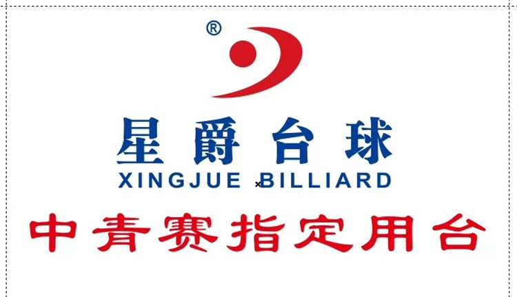 台球桌 配件英式美式星爵美式标准中式黑八桌球台钢库台球桌标力