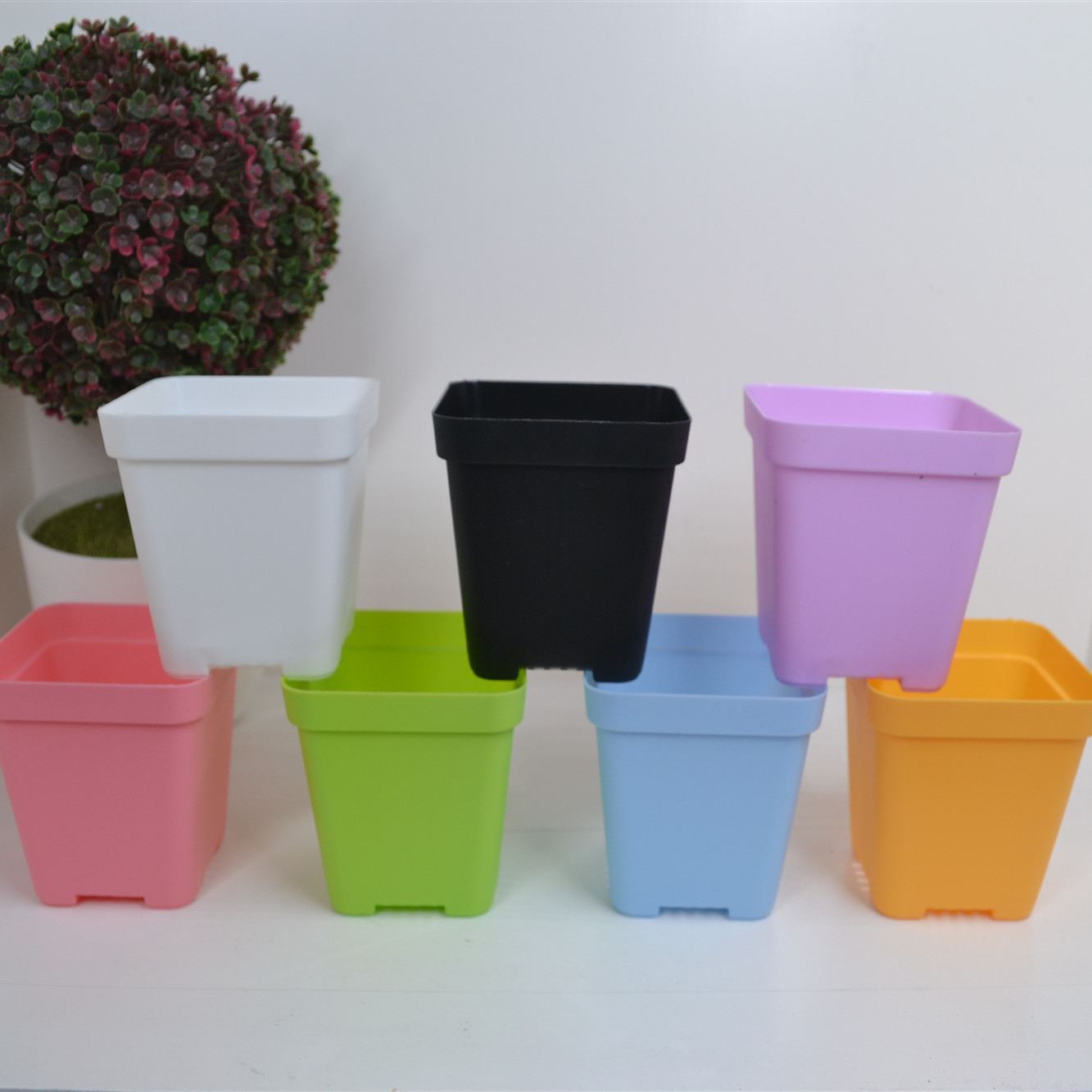 升级款多肉盆 育苗小方盆 迷你彩色花盆 中方小黑方塑料花盆