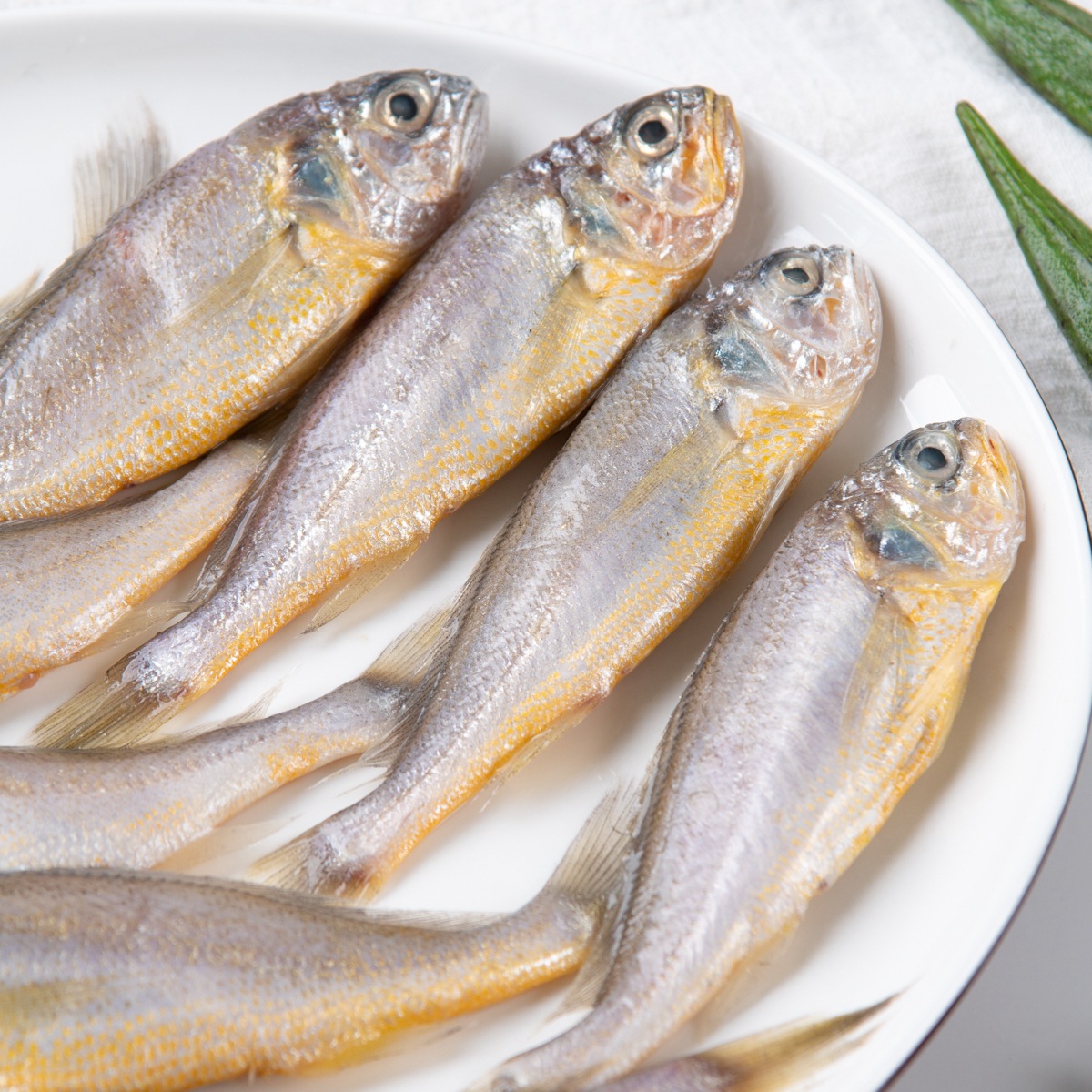 小黄花鱼新鲜冷冻海鱼小黄鱼水产野生东海黄鱼1斤装海鲜500g