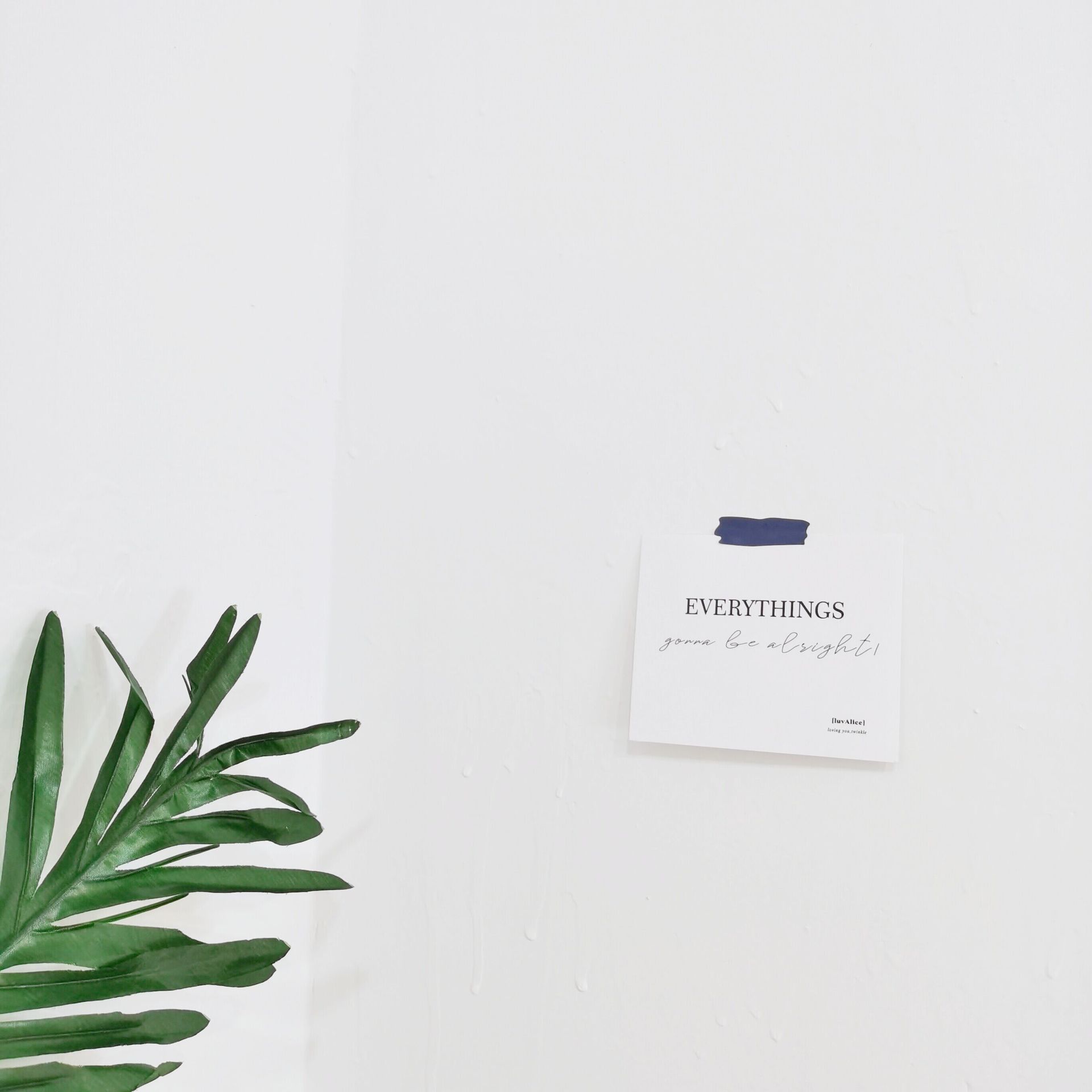 韩国ins英文简约文艺卡片luvalice摆拍道具墙面装饰卡饰品背景卡