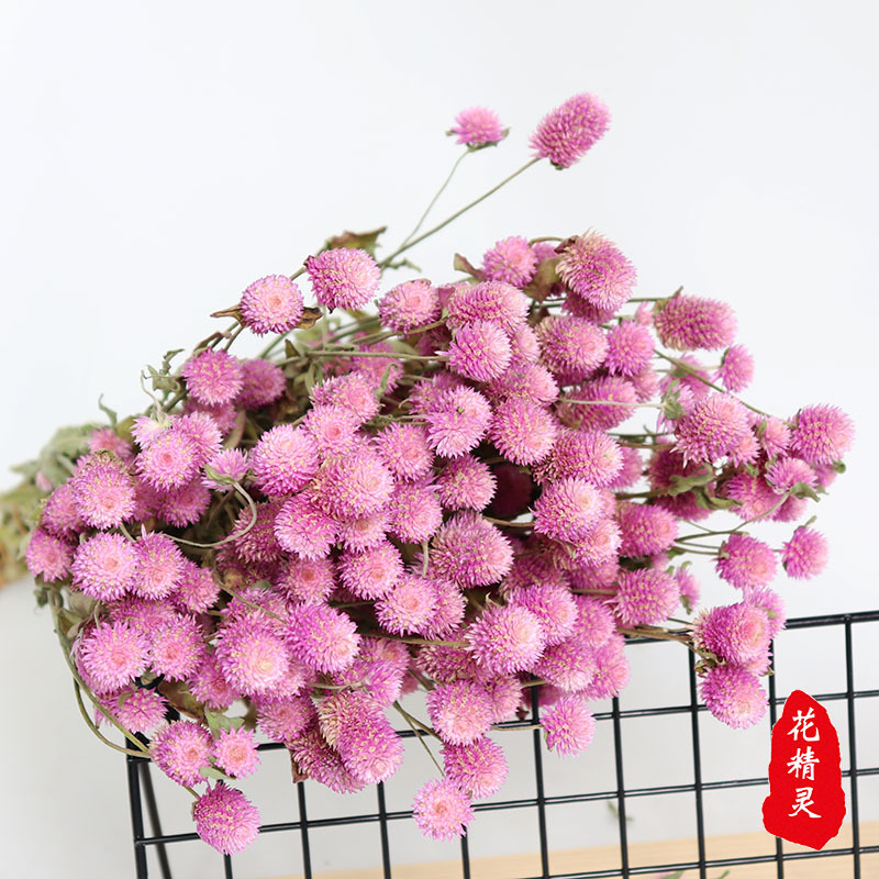 批发云南千日红干花白色粉色紫色 教师节礼物 家居装饰花束道具