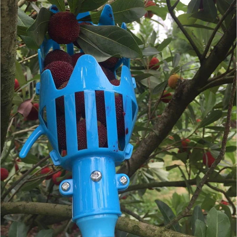 手摘杨梅工具高空摘果采果器手动摘果剪枇杷水果采摘神器批发063