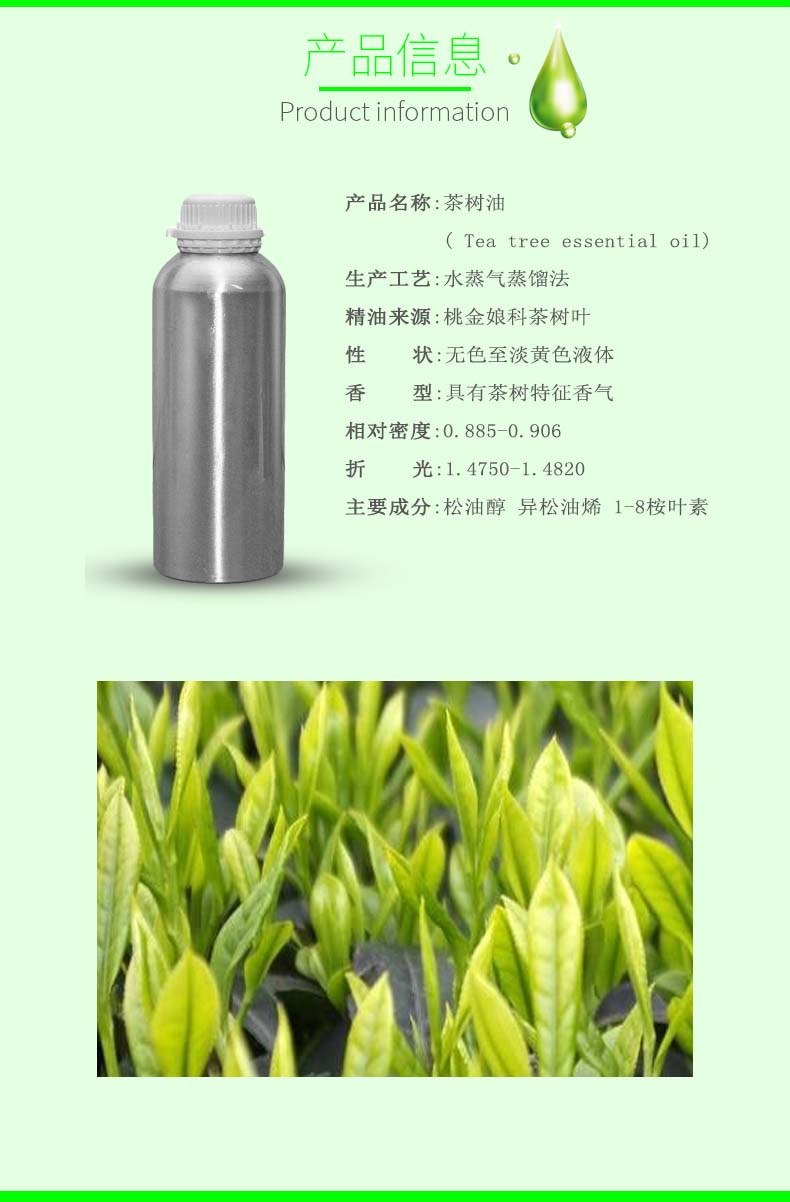 【种植厂家供应】 茶树精油 澳洲茶树油互生叶白千层油用于化妆品