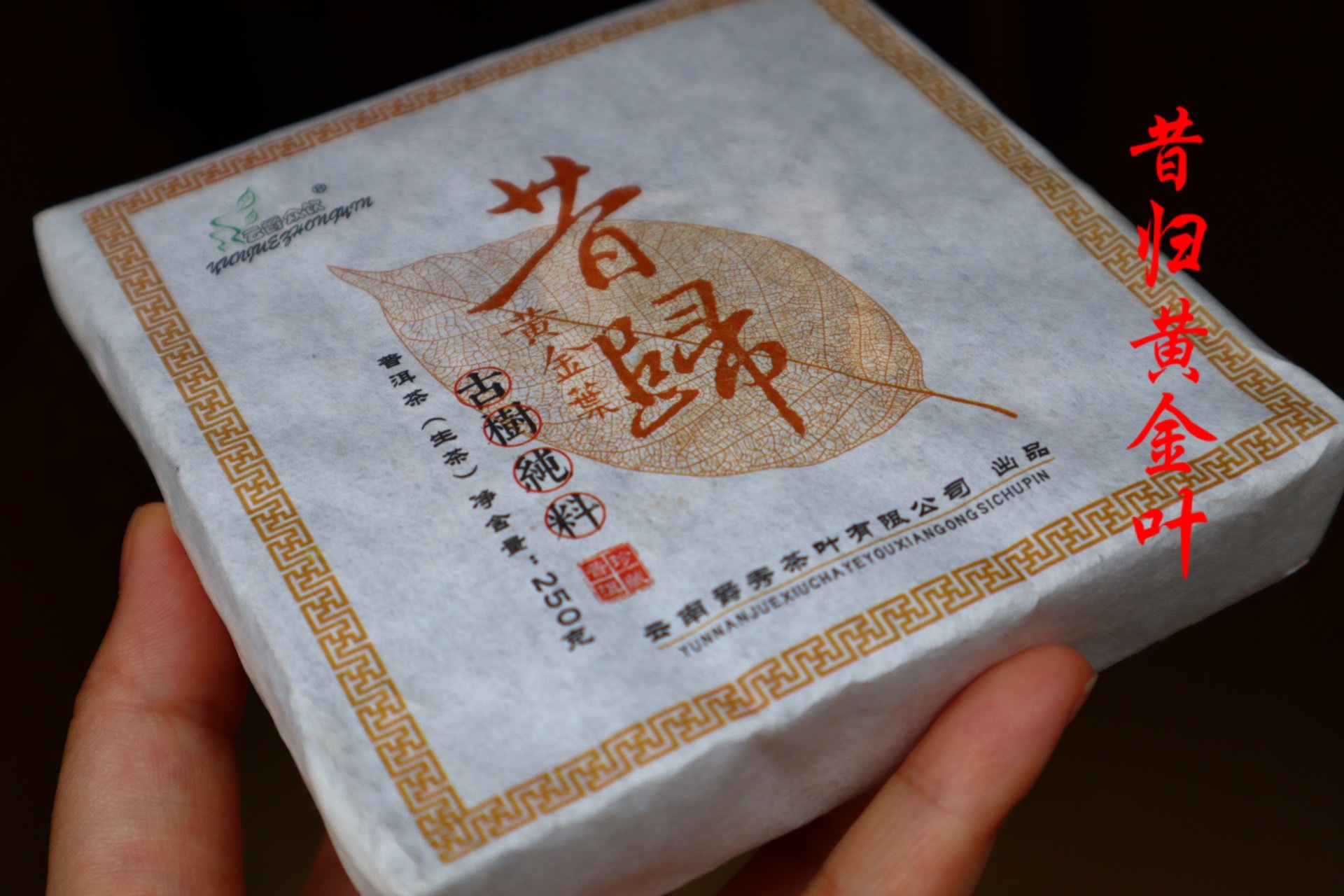 批发贡轩云南普洱茶忙麓山一口料昔归古树黄金叶250g茶砖贡轩茶叶