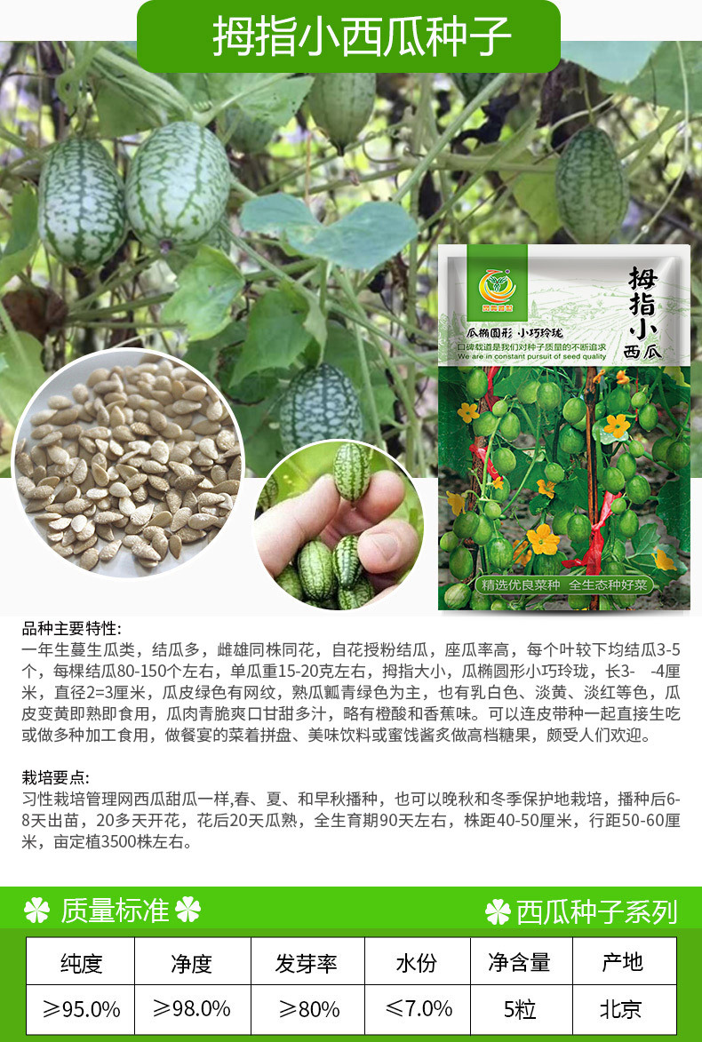 凤鸣雅世 拇指西瓜种子5粒 四季农家蔬菜种子菜种籽种孑批发