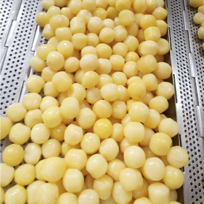 冷冻薯球 黄金小土豆 土豆丸 油炸冷冻薯制品kfc薯球10公斤/件