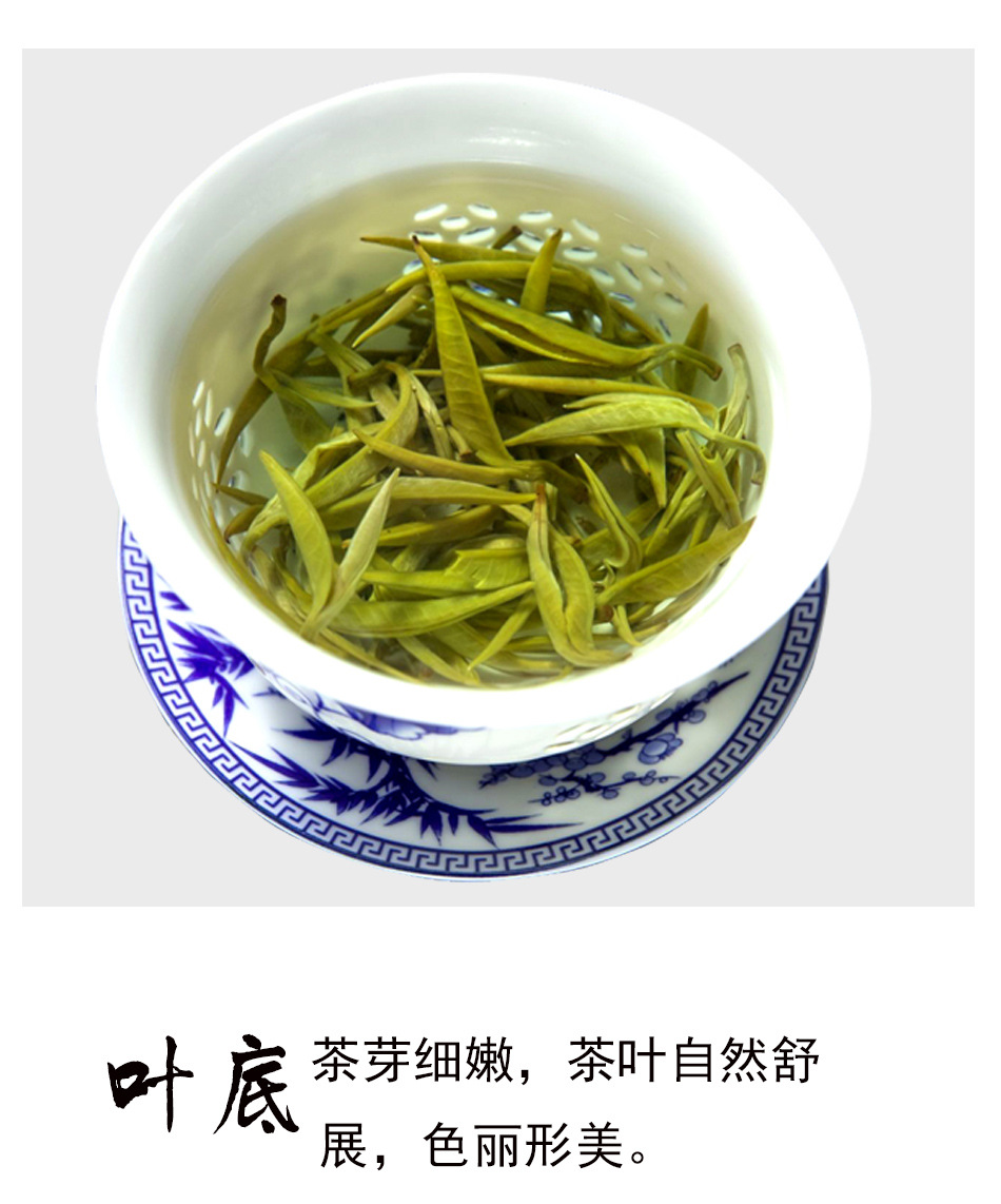 2021广西横县原产地茉莉花茶新茶浓香耐泡型单芽玉螺散装厂家批发