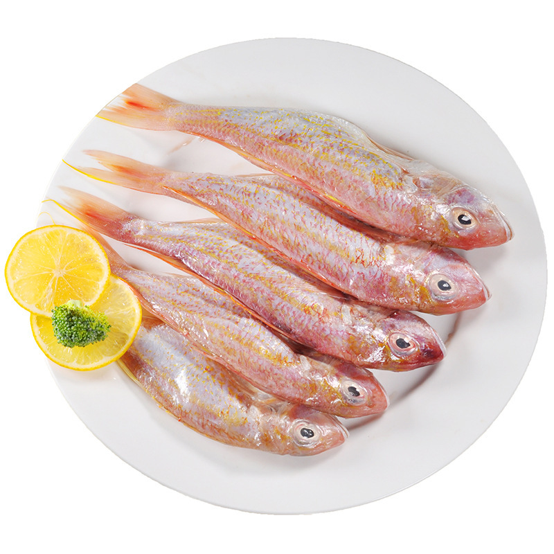 金线鱼 红三鱼红杉鱼 海捕野生 海鱼冷冻鱼类 水产品 1件20斤