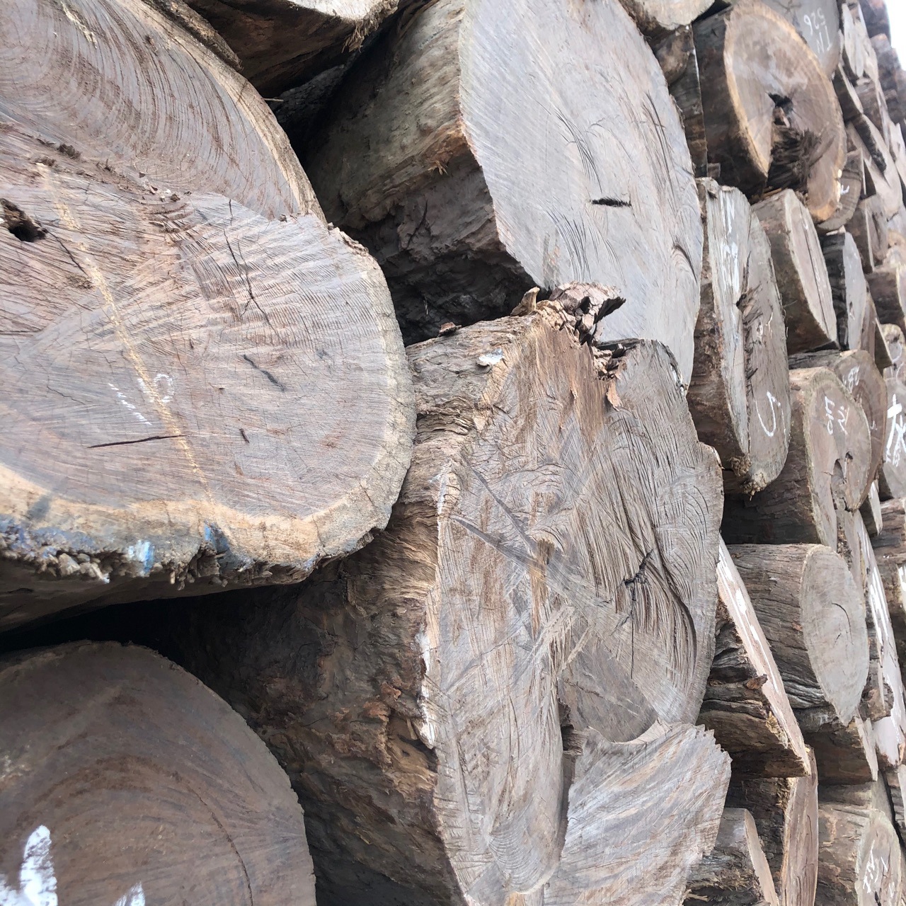 供应皮灰原木板材 皮灰木料 黑檀茶盘工艺品雕刻风车木料