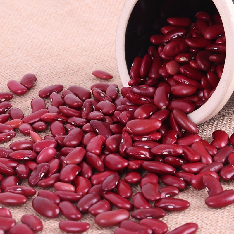 大粒英国红红芸豆 食用农家红芸豆 英国红全红肾形花豆现货批发
