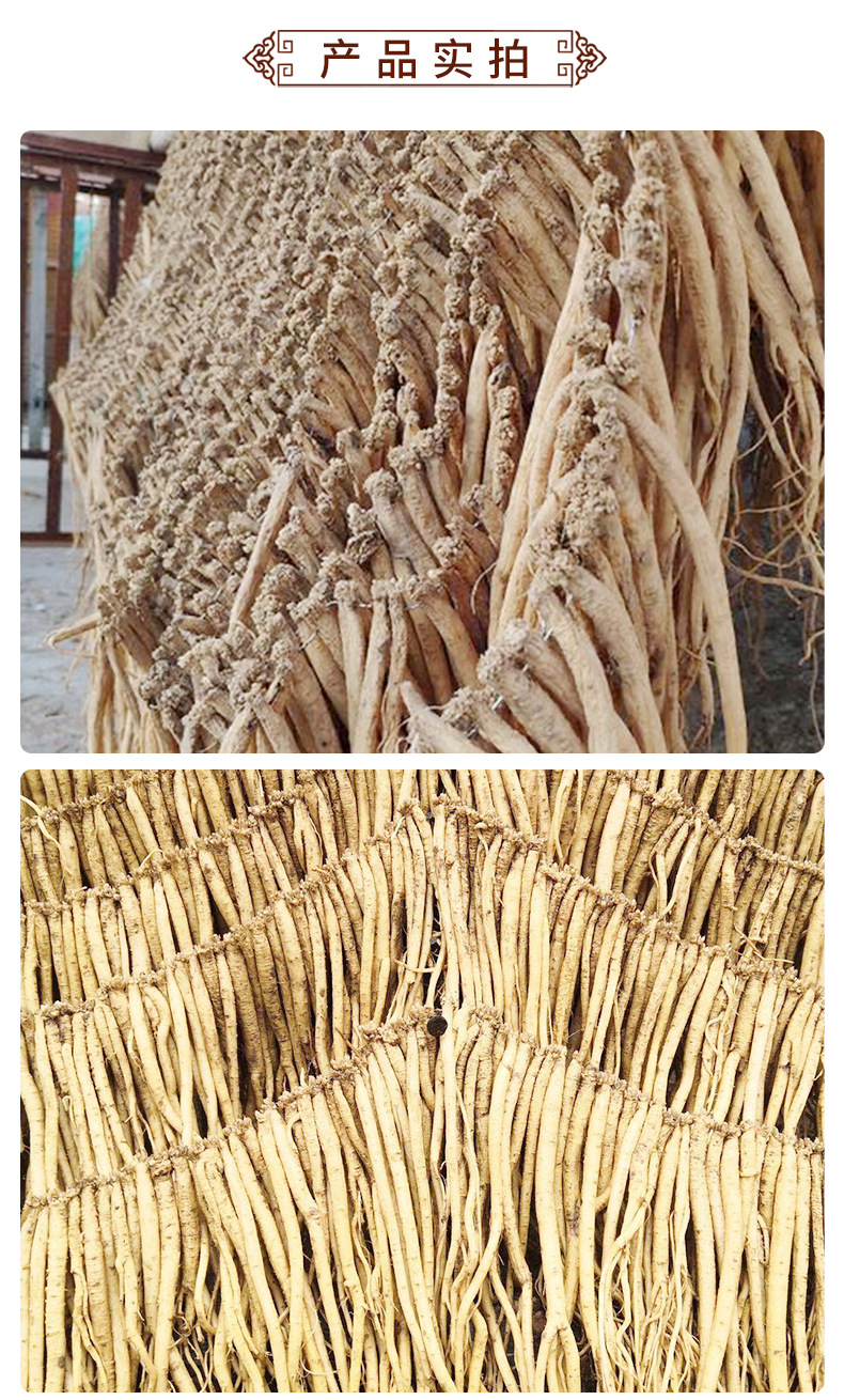 无熏硫磺党参全干大条 甘肃特产中药材产地中草药货源批发 党参条