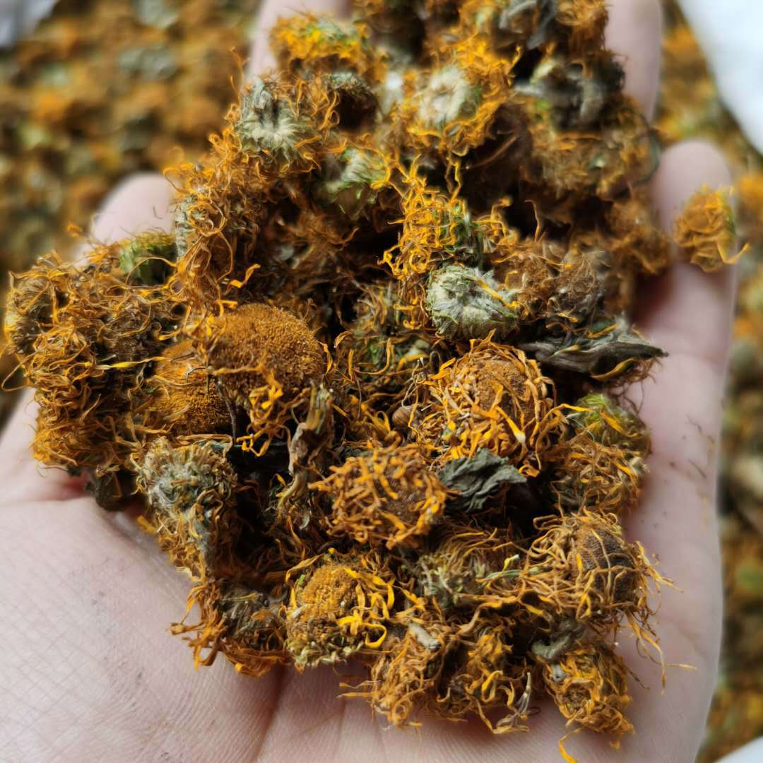 批发 旋复花中药材 新货 旋覆花 散装 金佛花中草药粉原料b