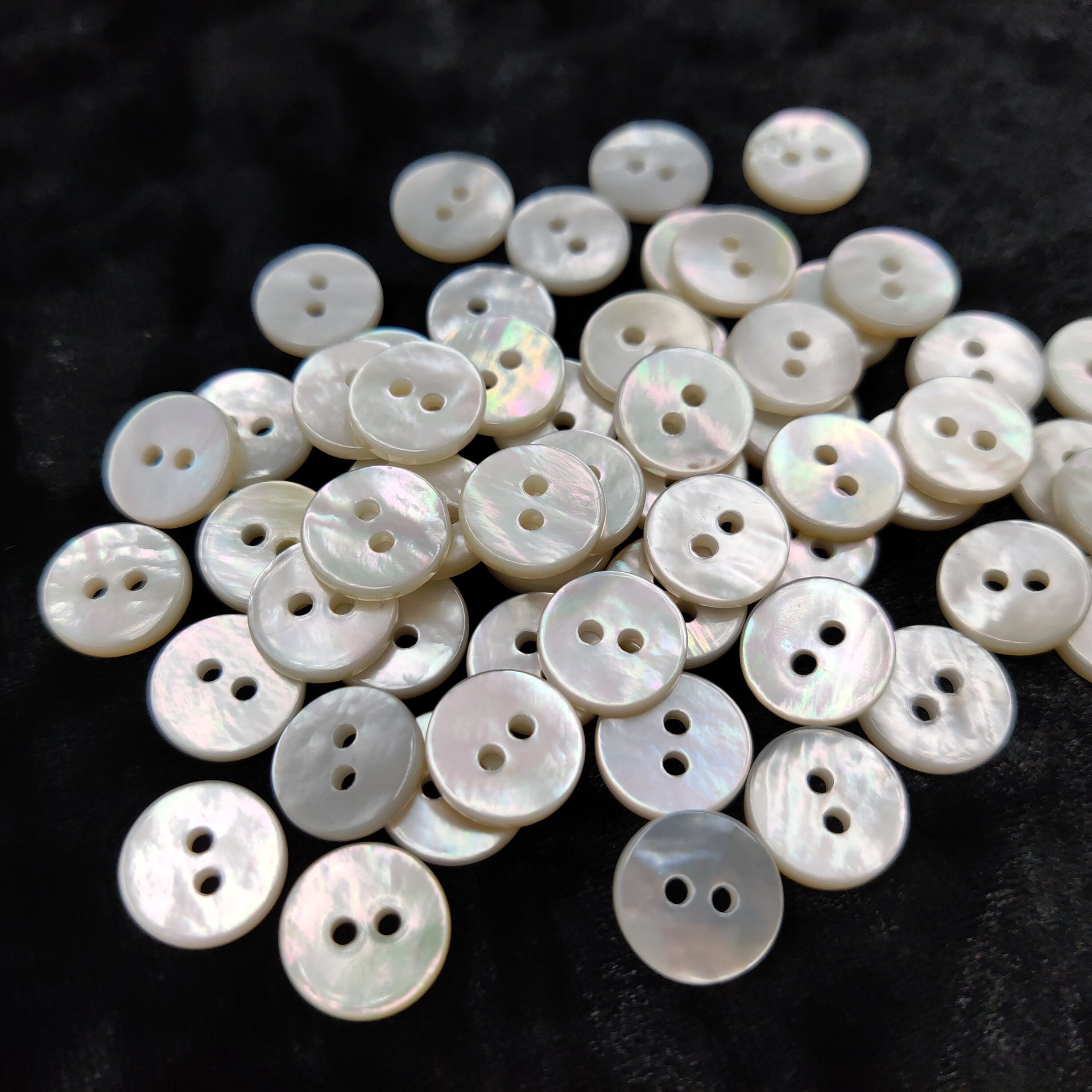 贝壳纽扣白蝶圆边两孔多型号多颜色衬衫西装扣子