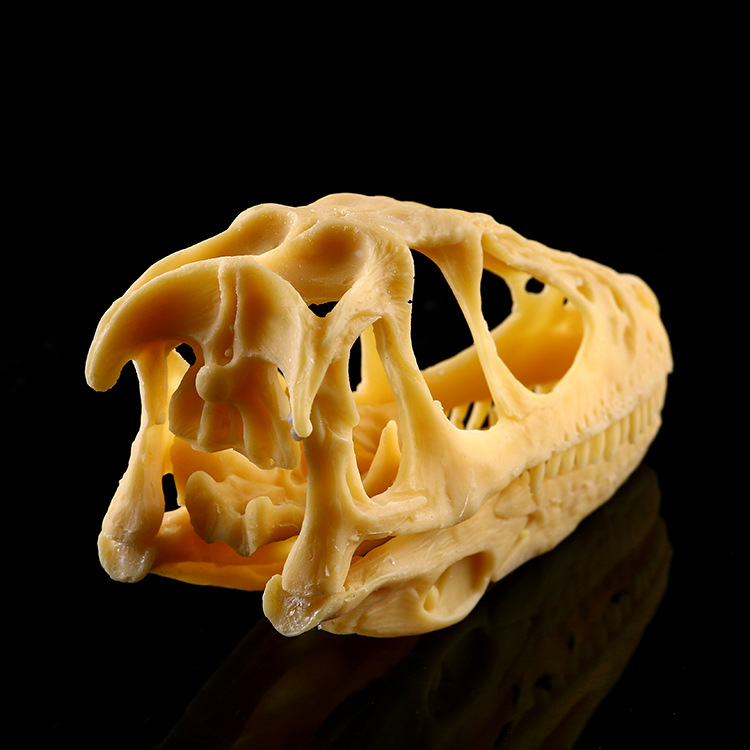 低价盗龙头骨模型伶盗龙头骨模型恐龙头骨模型骷髅头树脂骷髅头