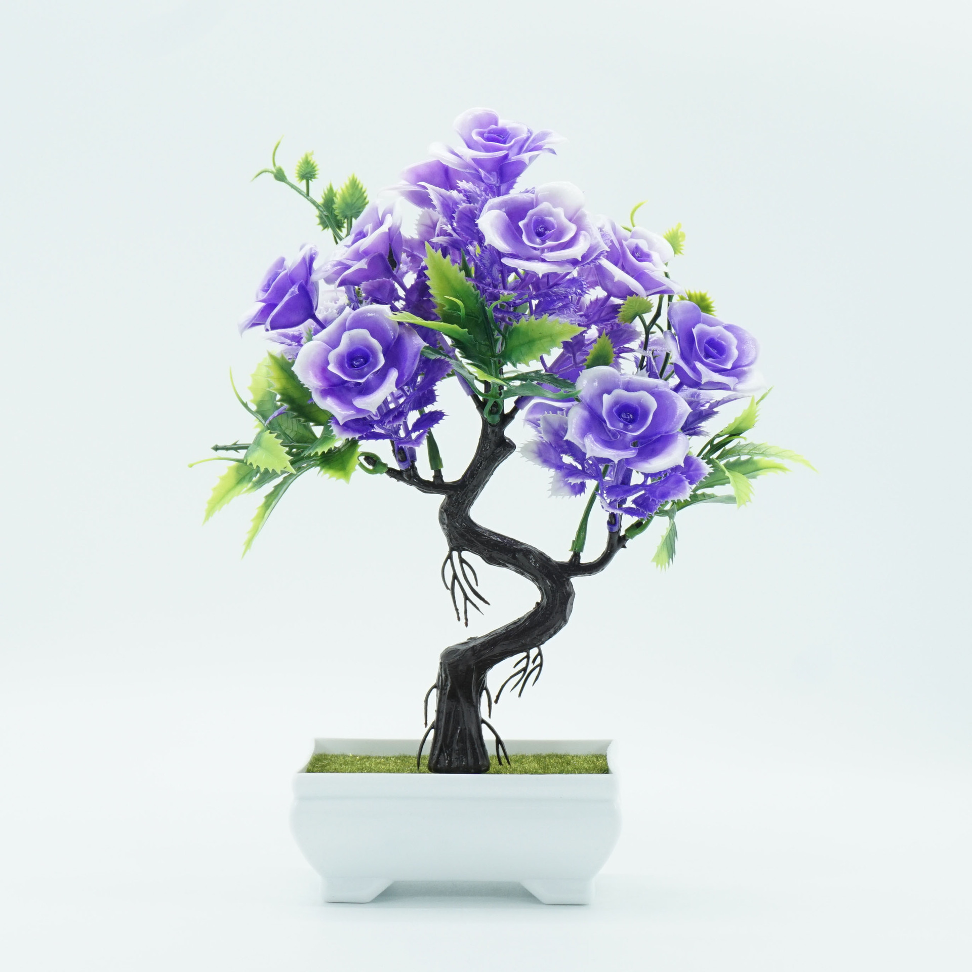 玫瑰花盆栽桌面