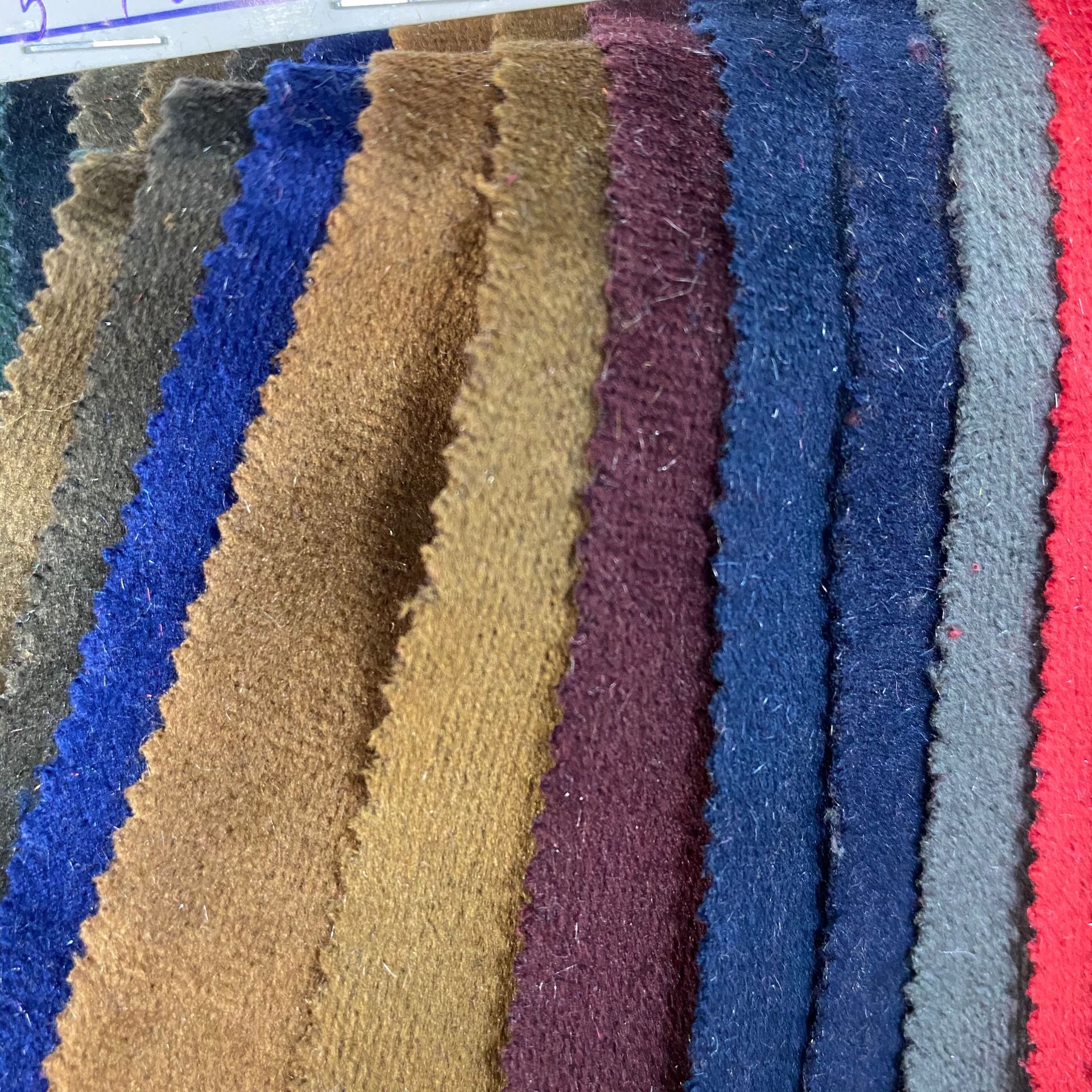 丽丝绒 金丝绒面料 短毛绒布 家居服运动服丝绒服装面料 现货供应