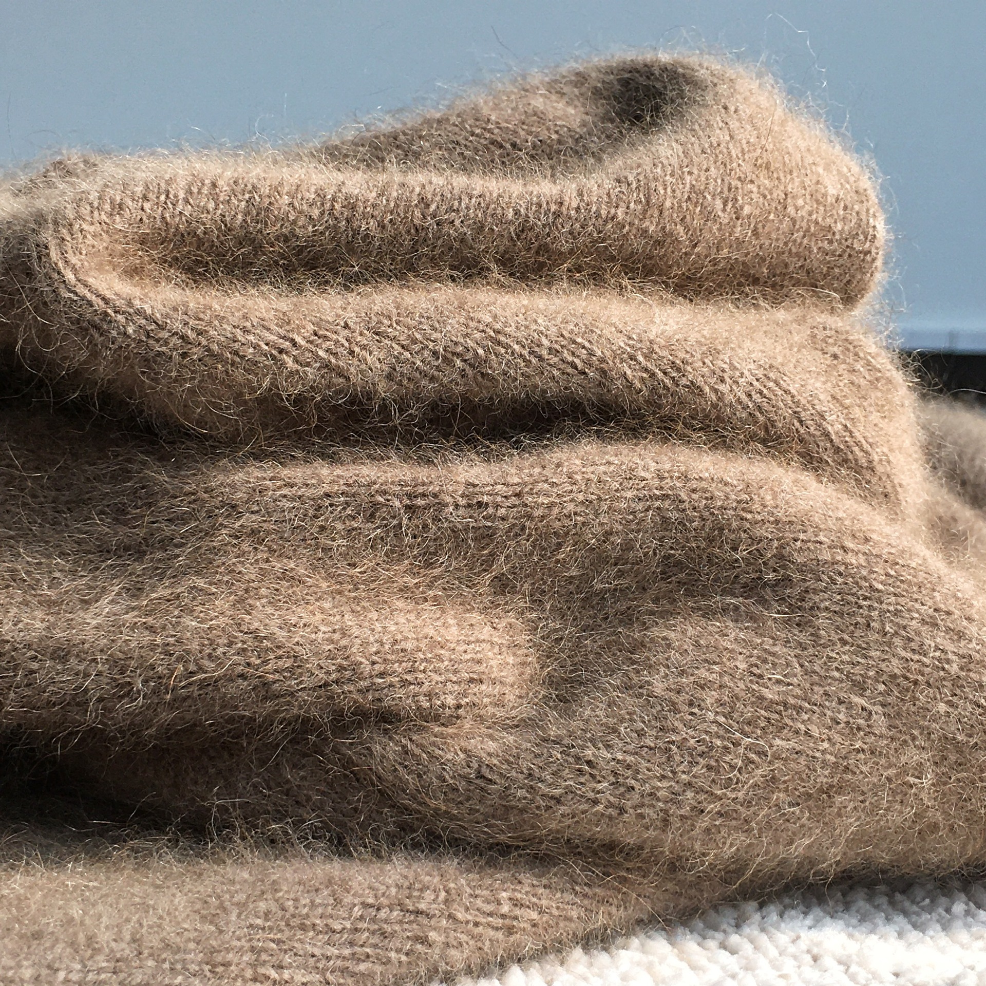 得白 开间 康赛妮高端系列100%浣熊绒貉子绒经典圆领廓形毛衣