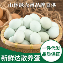 我老家乌鸡蛋10枚 品质款农家散养绿壳蛋批发新鲜笨鸡蛋鸡场直销