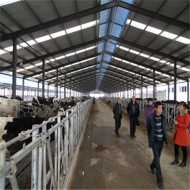 预制钢结构敞篷封闭畜禽舍山羊/牛场 牛棚建筑 钢结构设计