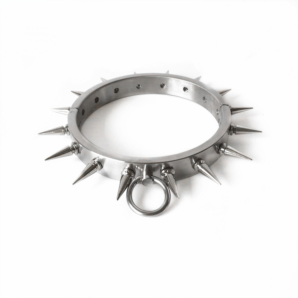 黑帝情趣用品另类玩具狗奴不锈钢带刺激项圈 厂家直销