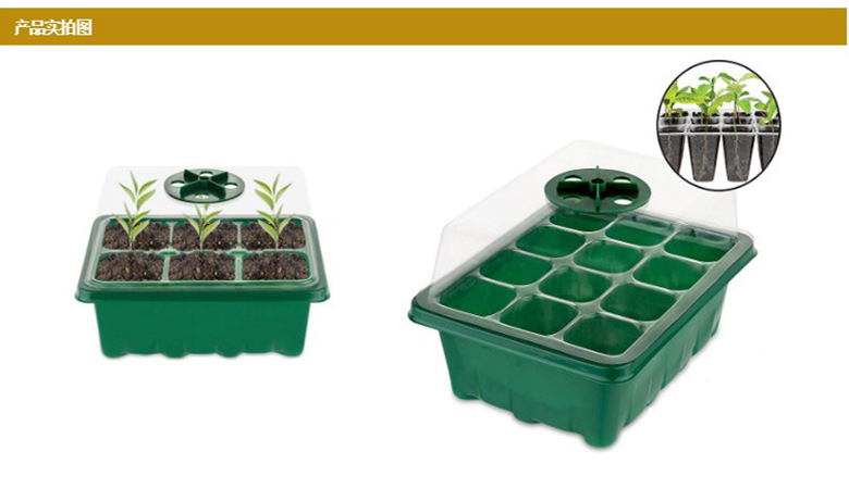 园艺用品6孔12孔带透气孔育苗盒 育苗盘 家庭有开关育苗箱 三件套