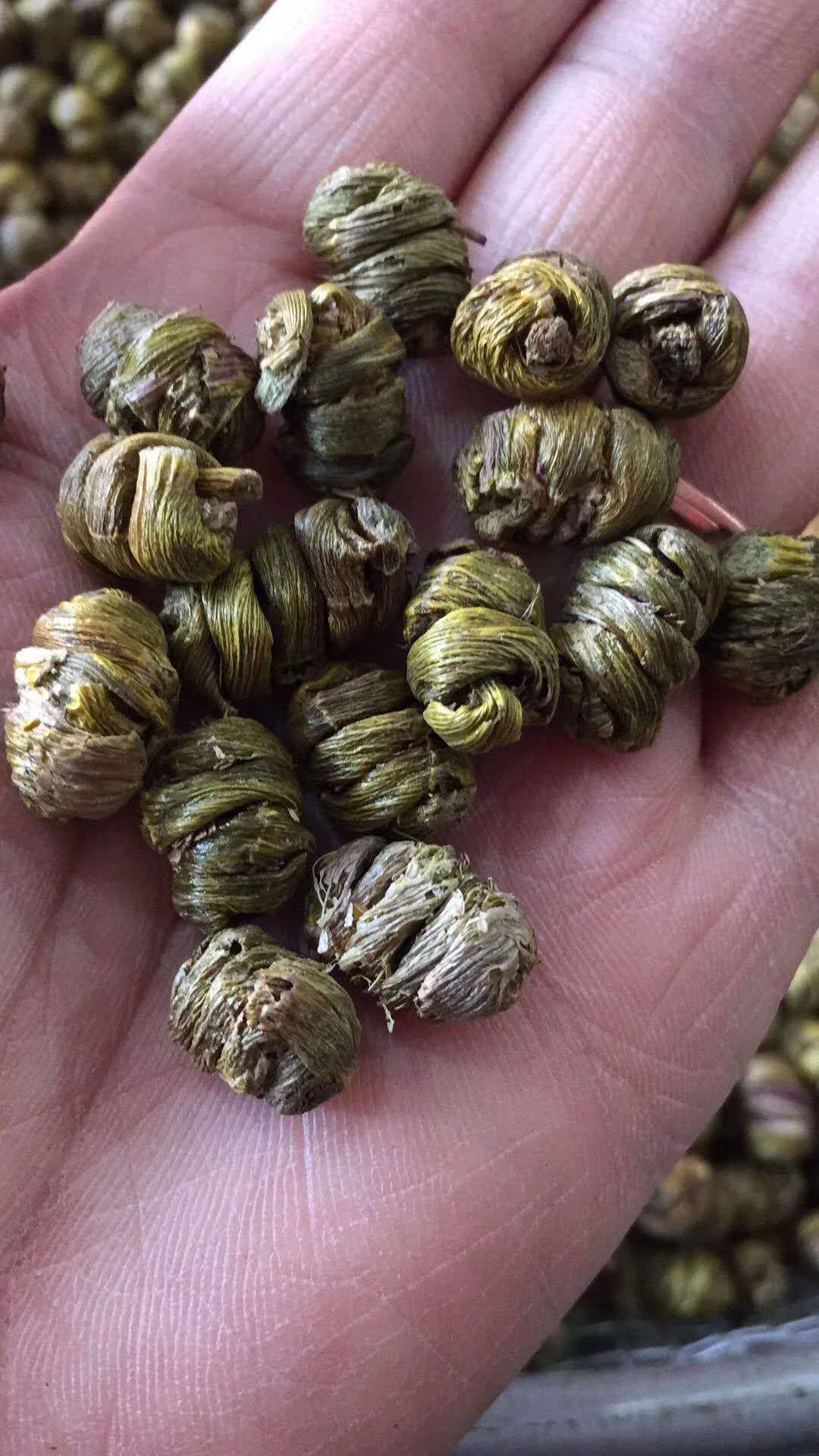 石斛shihu产地安徽六安霍山铁皮石斛 630元每公斤无残渣一键代发