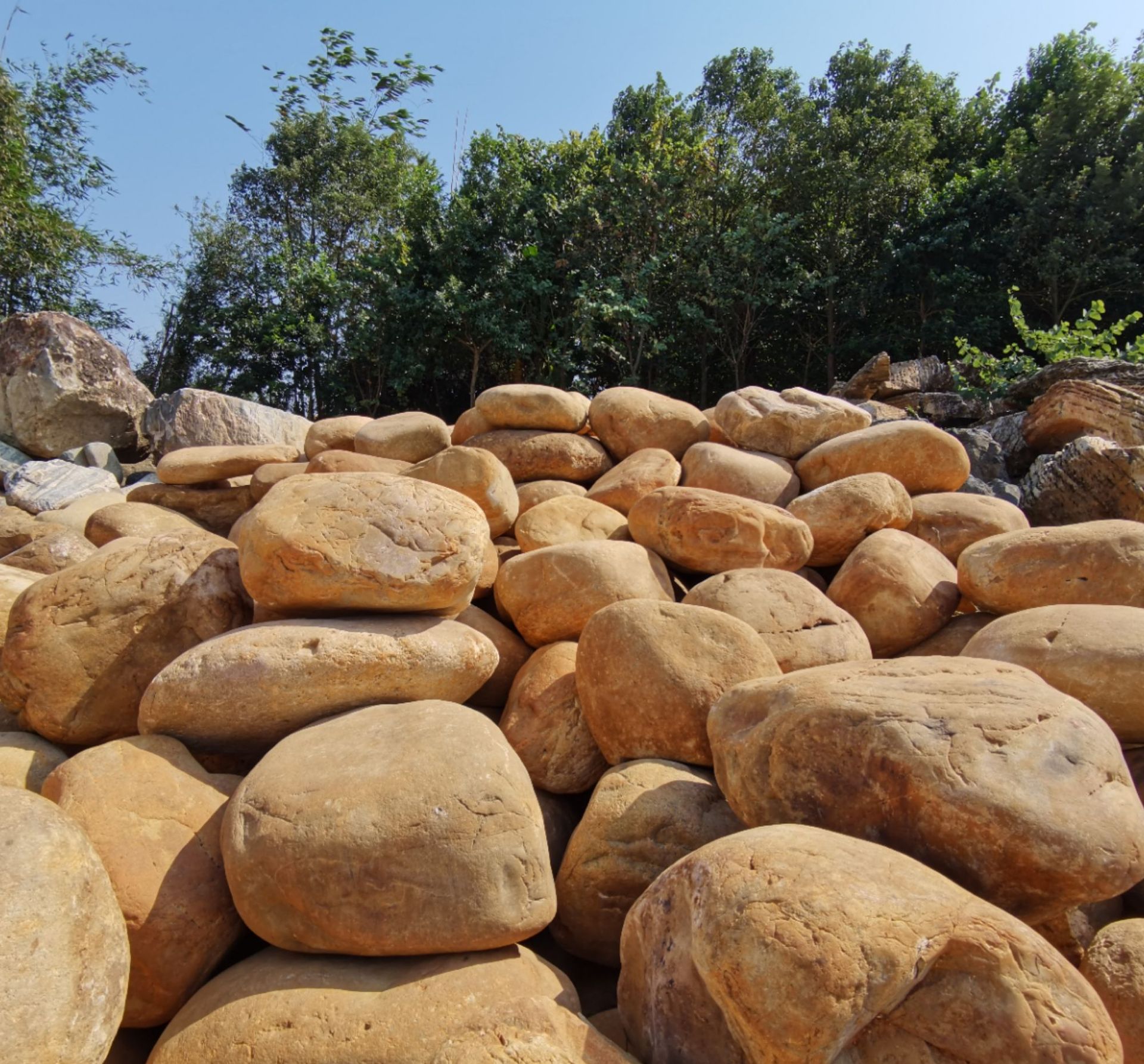 广东黄皮卵石厂家,中大型卵石批发,黄褐色卵石河卵石现货-阿里巴巴