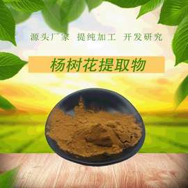 杨树花粉