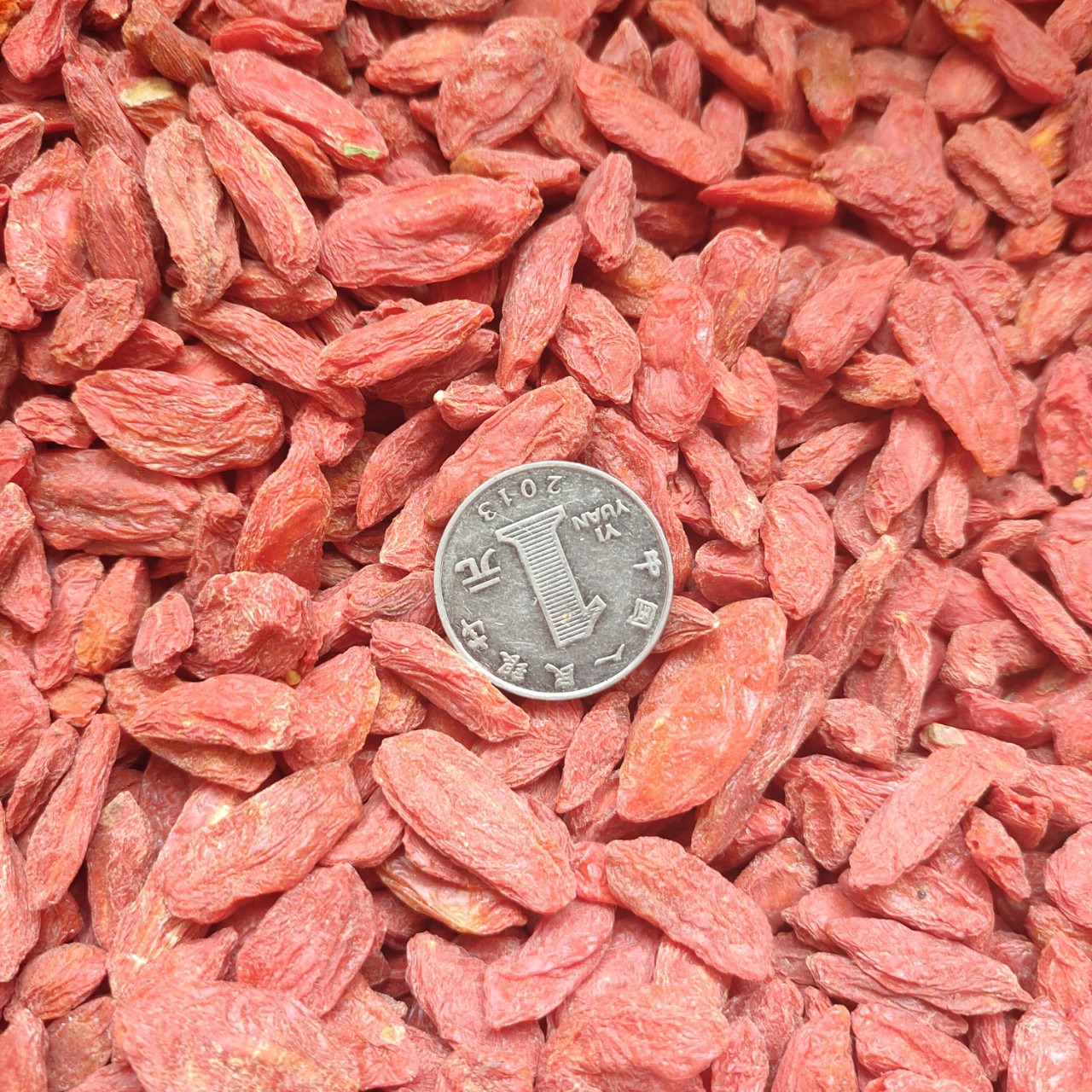 红枸杞 青海红枸杞250g 大颗粒枸杞子160粒 泡茶熬粥支持代发