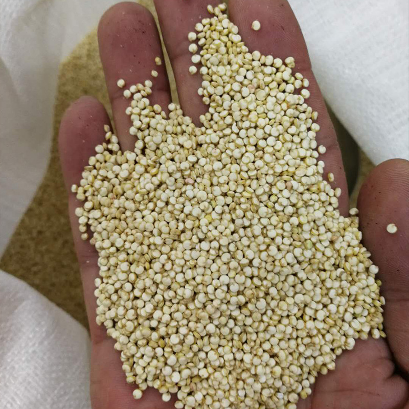 批发藜麦红黑白三色藜麦五谷杂粮藜麦龙牙米