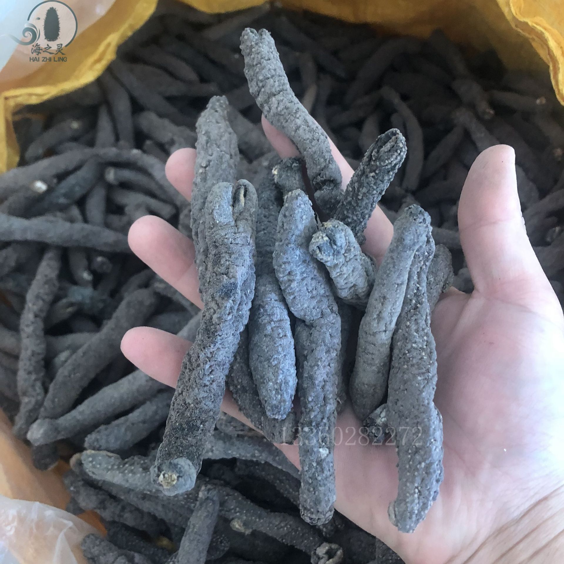 花蛇参海洋淡干带刺血蛇参黑参500克 海参干货批发酒店酒席食材