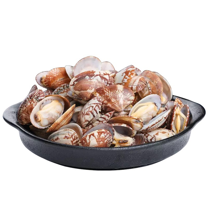 花甲冷冻花蛤 蛤 贝类水产海鲜 花甲王冷冻花甲 10包/件 500g/包