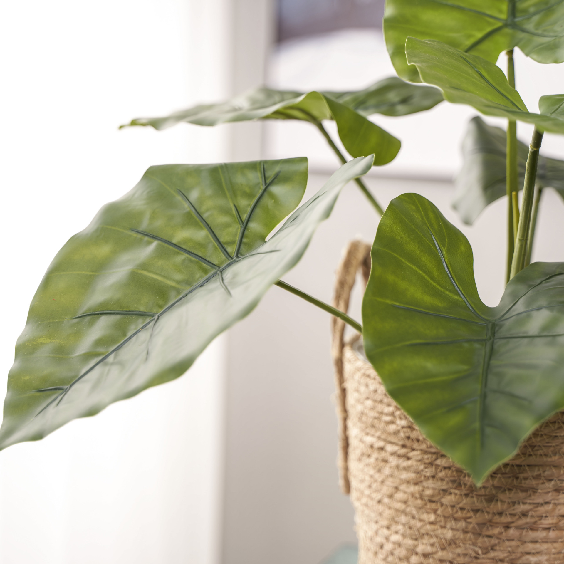 仿真龟背竹 绿化装饰 滴水观音假植物软装 假树造景材料工厂直销