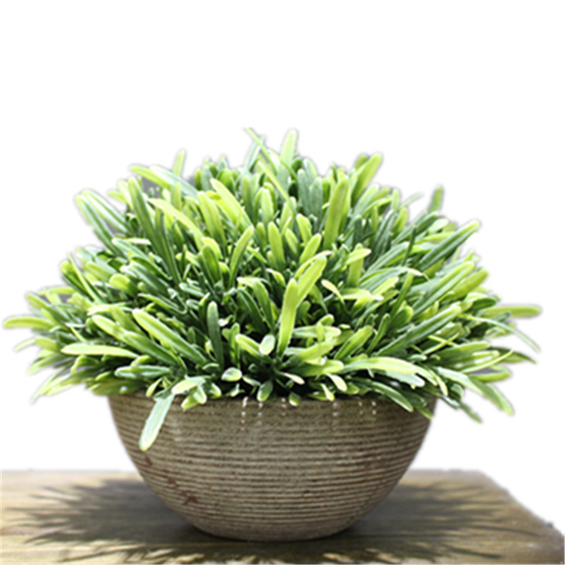 「罗汉草」仿真植物 盆栽 塑料花盆 树球 人造绿植 假花 厂家直销