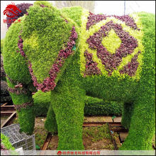 动物大象五色草景观雕塑公园楼盘美陈绿雕定制制作植物墙定做