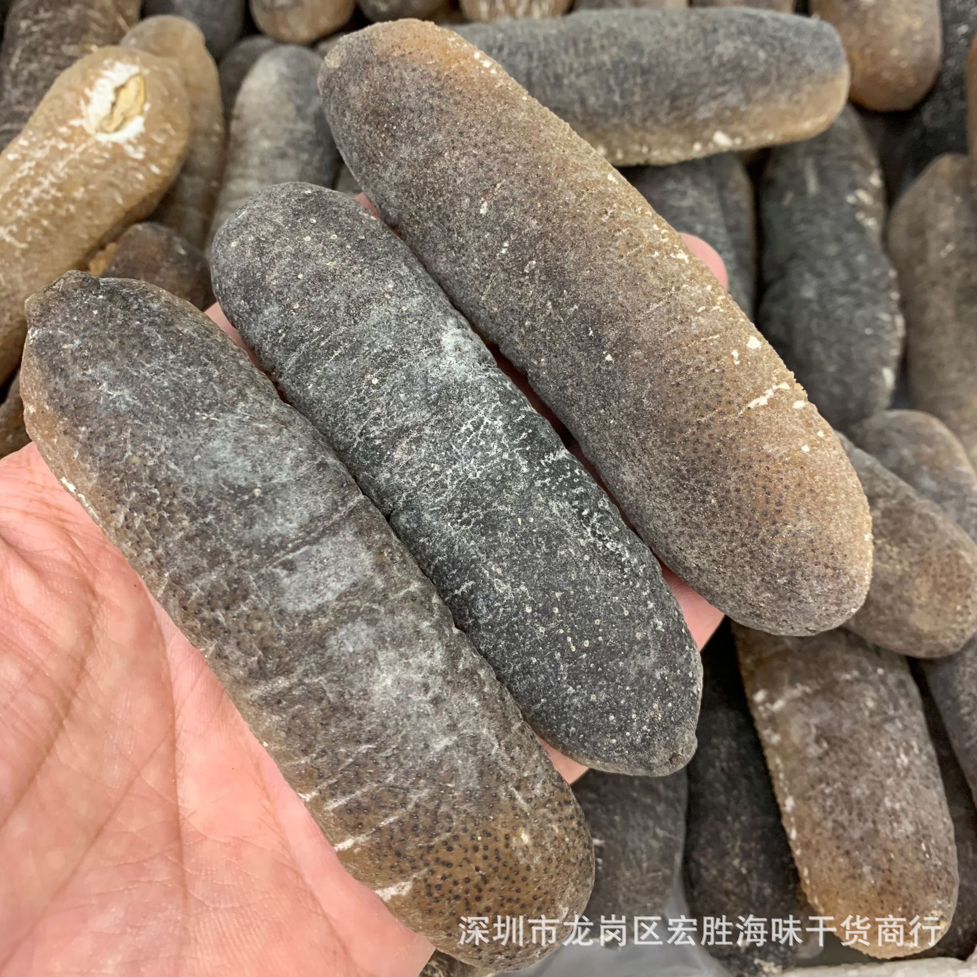 珍珠球参越南球参乌圆球 淡干海参干货 水发专用