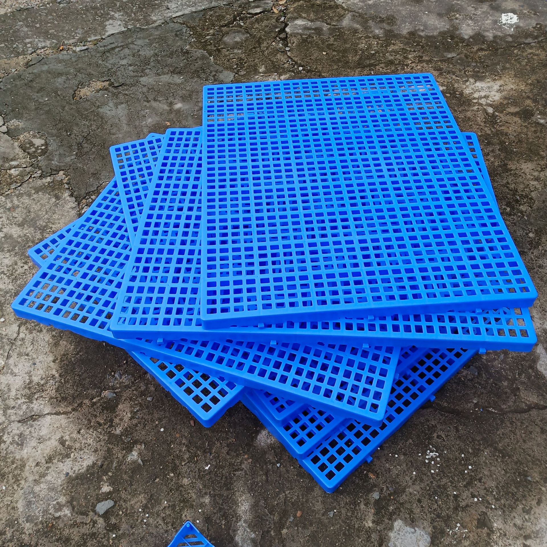 网格加厚拼接防潮板 仓储货物防潮地台板 全新料蓝色狗笼垫板