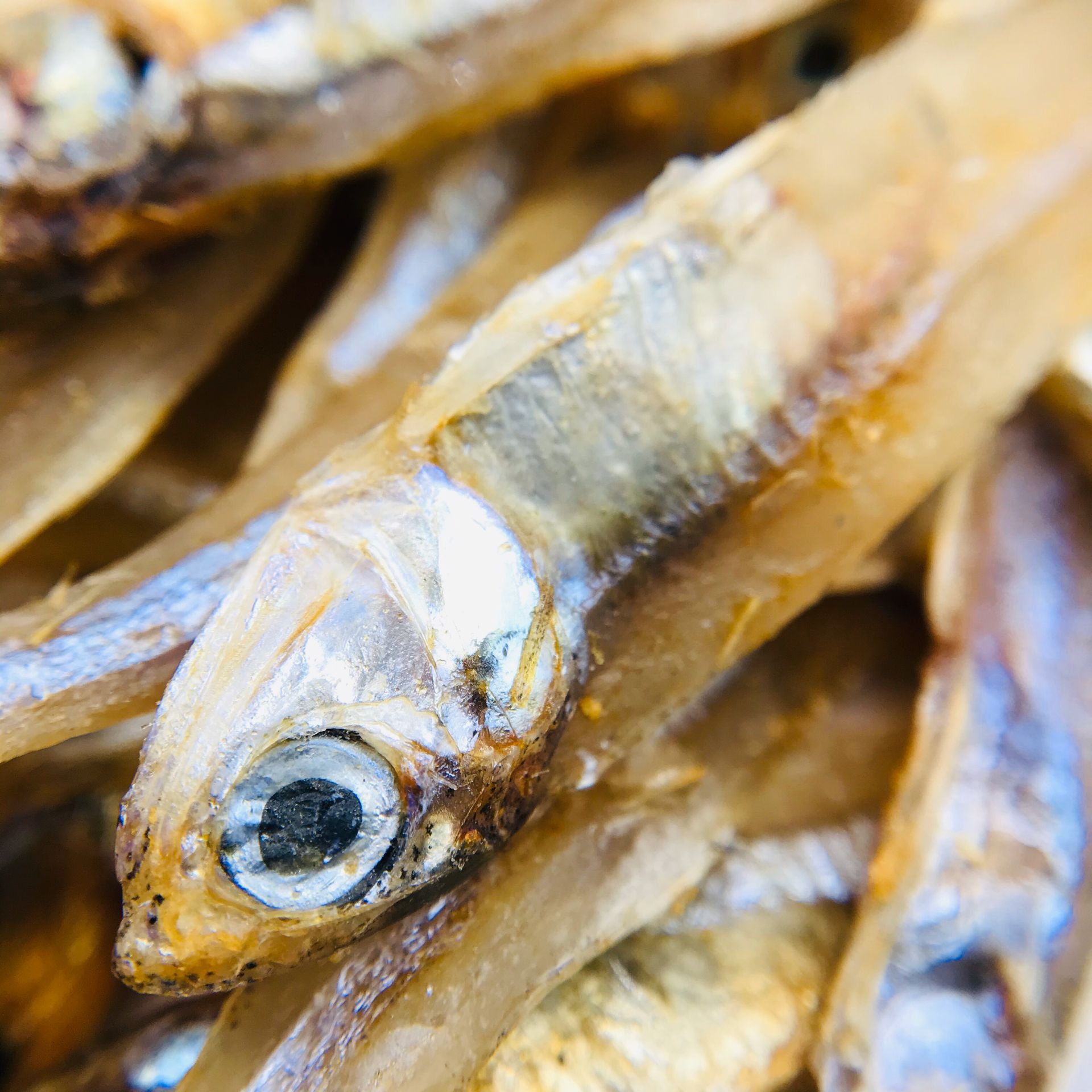 水产干货类-[活动3]银鱼仔广西北海特产干货水产-水产干货类尽在阿里