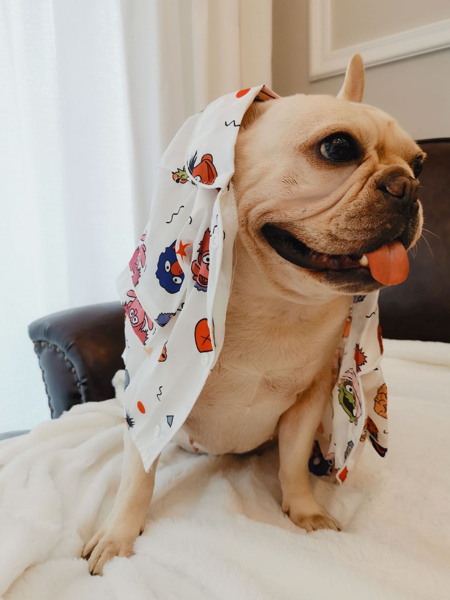 2020新款夏季宠物潮牌睡衣真丝提花1v狗服饰 法斗雪纳瑞柴犬胖狗