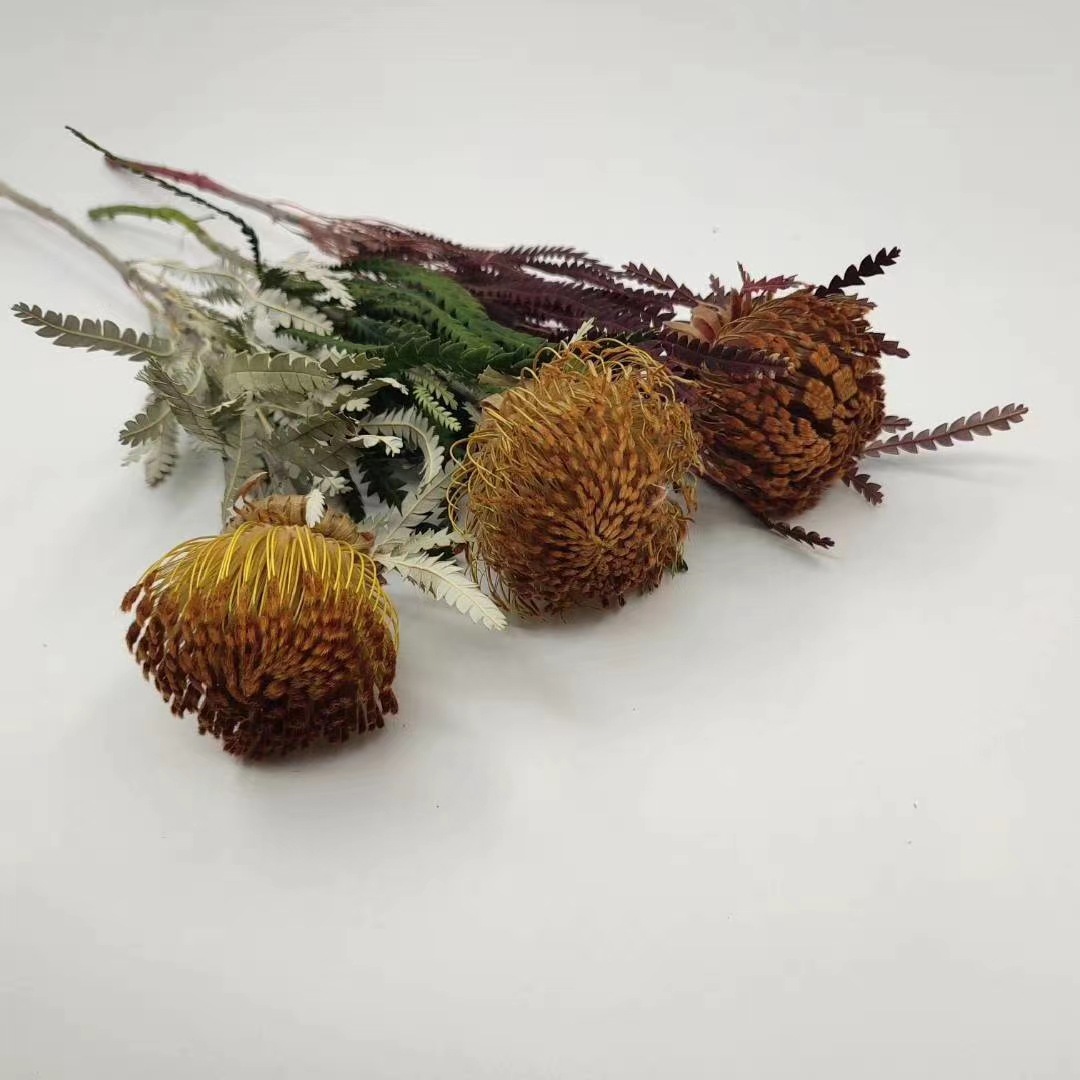 【山茂尖】进口干花小佛塔花束针垫斑克木类家居摆设基地批发