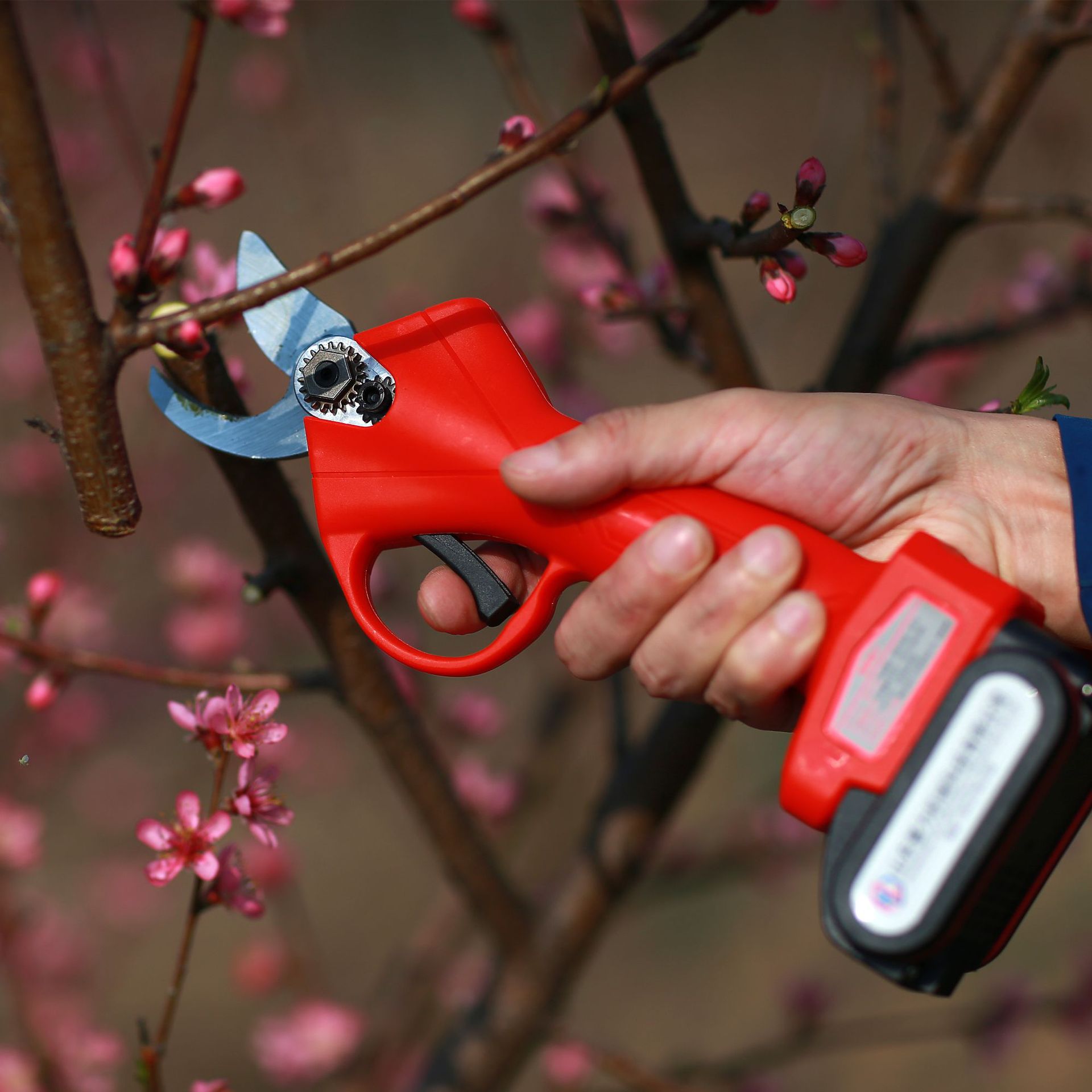 便携3公分修枝剪 电动修枝剪 充电式 电动树枝剪 果树 剪枝机