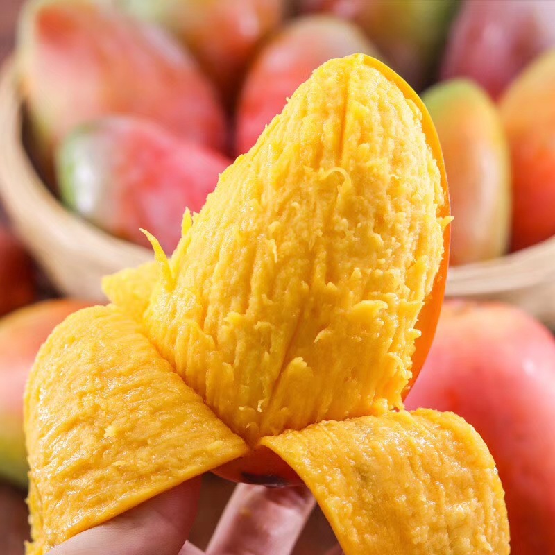 广西贵妃芒芒果中果红金龙新鲜水果包邮整箱热带芒果非百色桂七