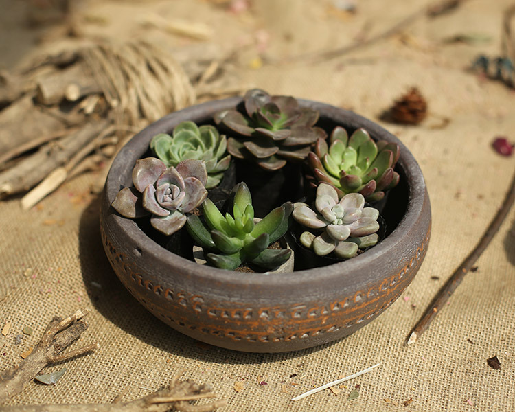 复古多肉老桩植物陶罐粗陶客厅透气陶盆陶土花盆大口径土陶罐