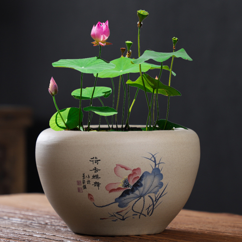 睡莲盆缸碗莲专用花盆陶瓷大号水养植物一叶莲荷花铜钱草水培花盆