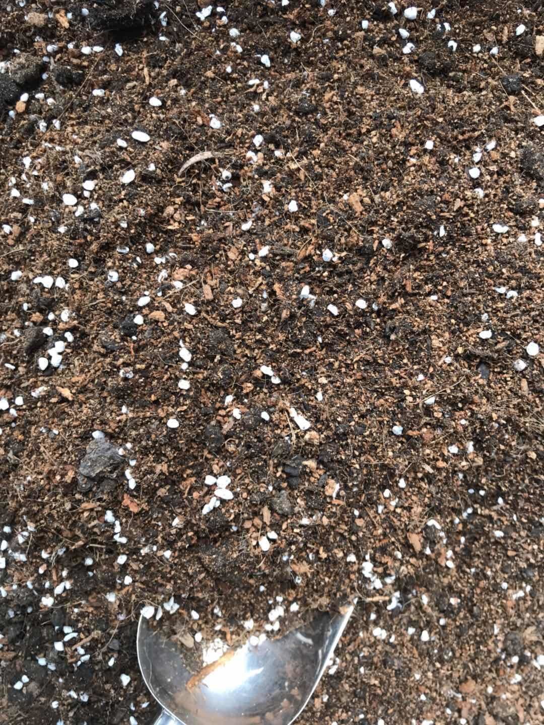 家庭园艺松红梅盆栽绿植换盆用土花卉营养土土平安竹杜鹃花蔬菜土