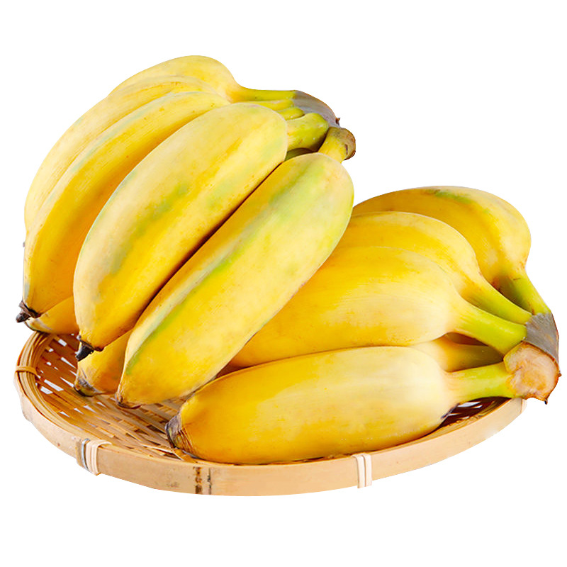 广西粉蕉苹果蕉新鲜发包蕉芭蕉现摘5斤非全年蕉无水果批西贡邮