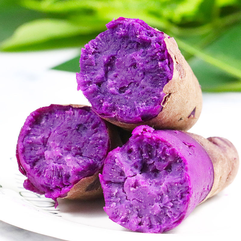 山东紫罗兰紫薯5/9斤现挖新鲜地瓜西瓜红六鳌红薯黄心番薯代发